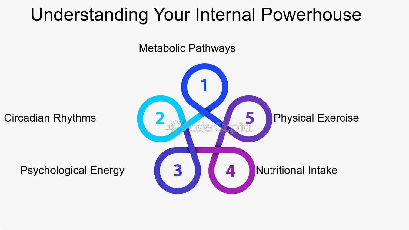 Understanding Your Internal Powerhouse - Time Utilization: Energy Management: Fueling Productivity and Time Utilization